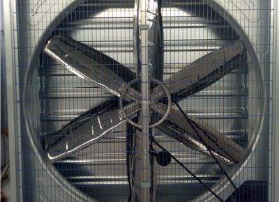 點擊查看詳細信息<br>標題：Heavy Hammer Type Animal Husbandry Fan 閱讀次數(shù)：1548