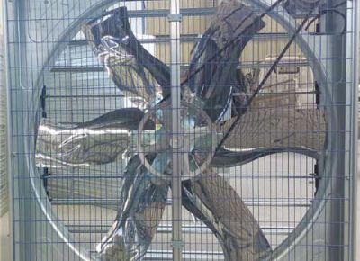 點擊查看詳細信息<br>標(biāo)題：Push Pull Type Animal Husbandry Fan 閱讀次數(shù)：2138