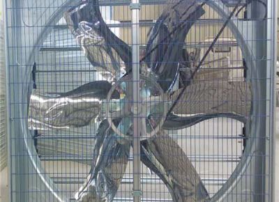 點擊查看詳細信息<br>標題：Push Pull Negative Pressure Fan 閱讀次數(shù)：1368